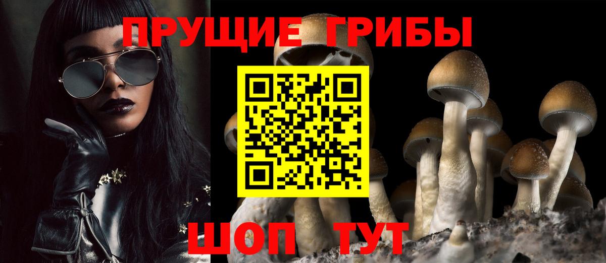 Галлюциногенные грибы Psilocybine cubensis  как найти закладки  Бирск  Вход с VPN 